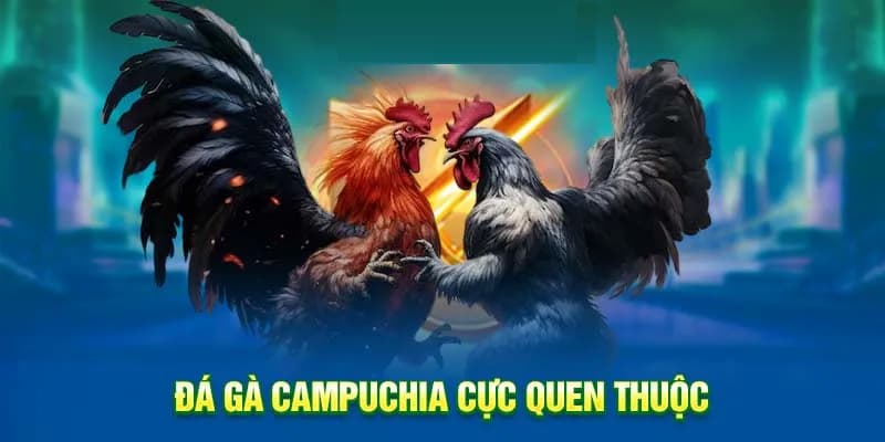 Giới thiệu về hình thức đá gà Campuchia tại sân chơi chúng tôi